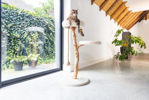 Immagine prodotto Designed by Lotte Tiragraffi Vilja (110 cm, Crema)