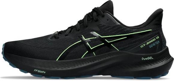 Image du produit ASICS Performance GT-2000 12 (46)
