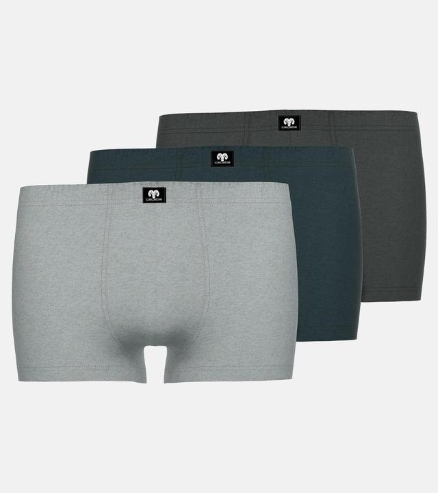 Immagine prodotto Ceceba Boxershort Casual Bequem sitzend Pants 3er Pack (XL, confezione da 3)