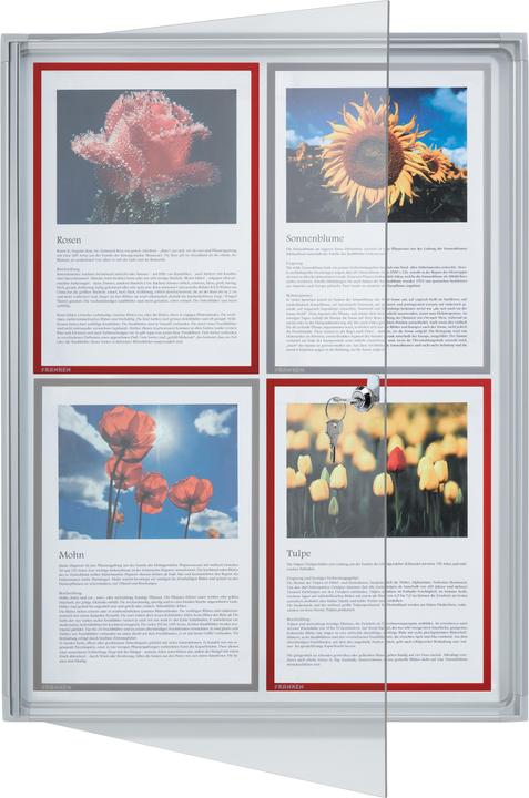 Actual product image Franken Display case x-tra!Line 4 x DIN A4 indoor magnetic and dry