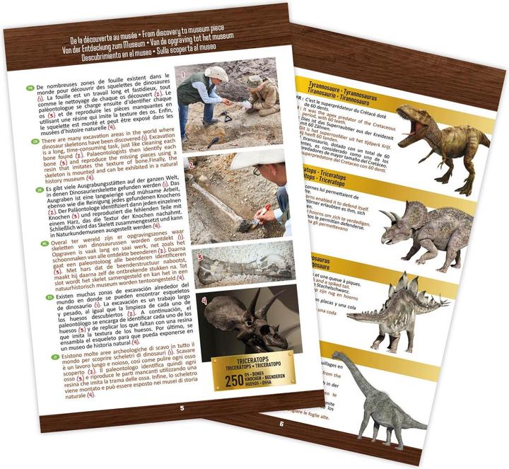 Immagine prodotto Buki Kit per l'esperimento del cranio di dinosauro - Tyrannosaurus