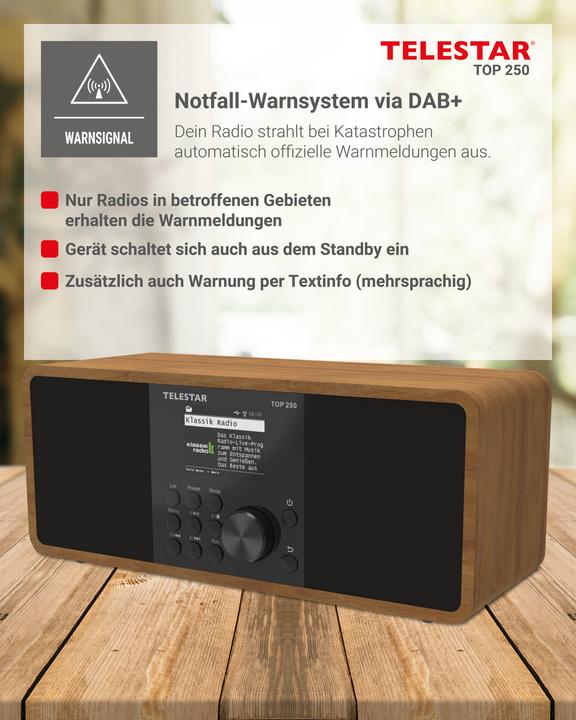 Produktbild Telestar TOP 250 (Internetradio, DAB+, FM, Bluetooth, WLAN)