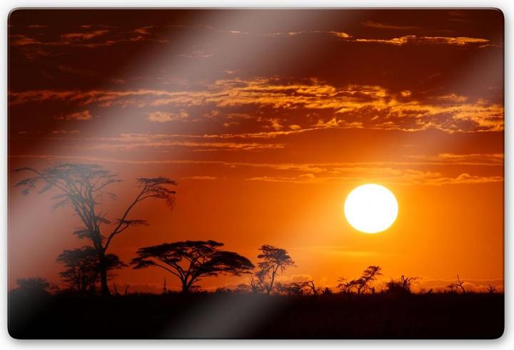 Image du produit Trenddeko La steppe africaine (60 x 40 cm)