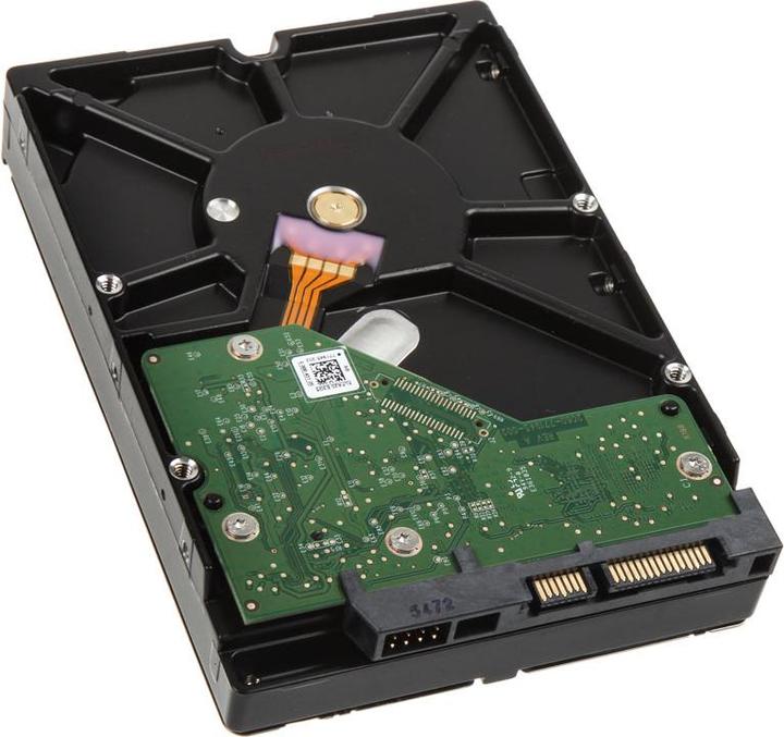 Productafbeelding WD Blauw (1 TB, 3.5", CMR)