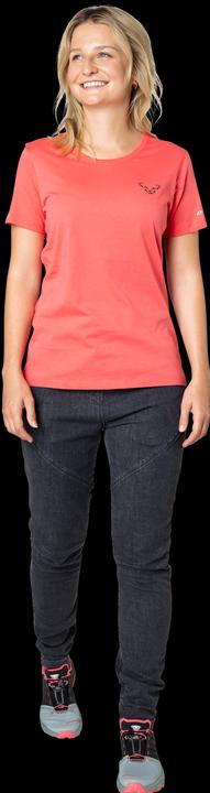 Actual product image Dynafit 24/7 Graphic T-Shirt (M)