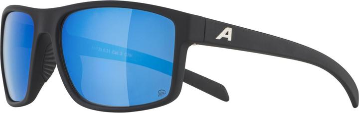 Actual product image ALPINA SPORTS Nacan I Pole