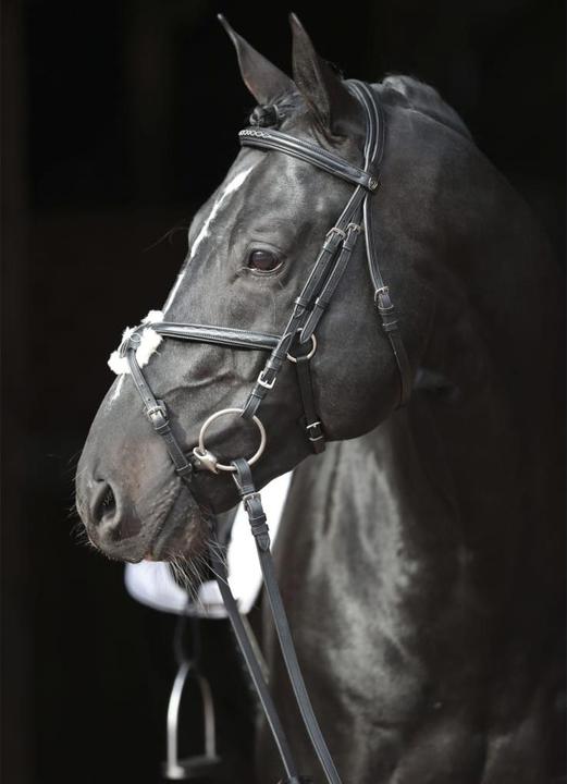 Actual product image Kerbl Snaffle bridle Cancun black, Full