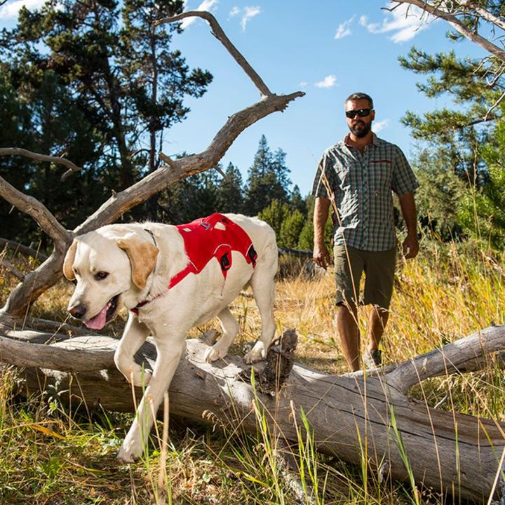 Image du produit Ruffwear Harnais pour chien Web Master red Taille Tour de poitrine (L, Chien, Général)