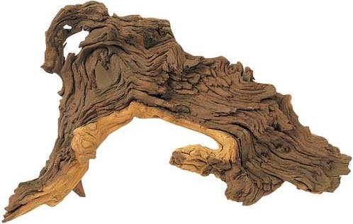 Immagine prodotto Amazonas Mopani (Decorazione, Fondamenti)