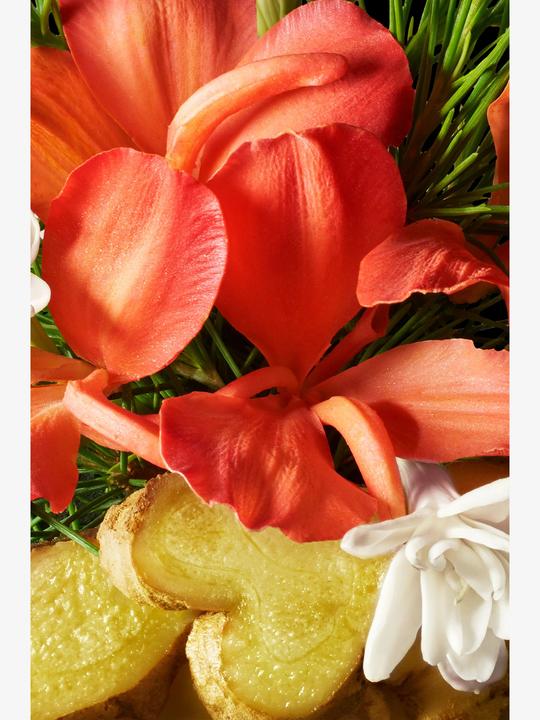 Actual product image Molton Brown Heavenly Gingerlily Hand Cream (40 ml)