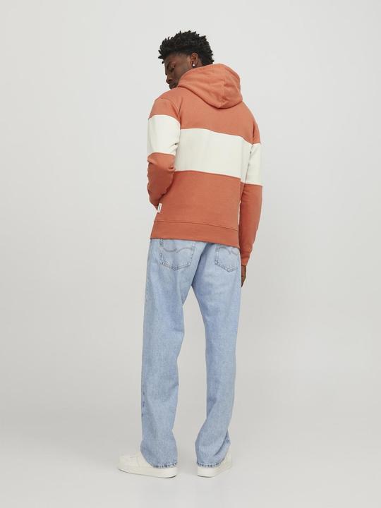 Immagine prodotto Jack & Jones Sweat Hoodie (L)