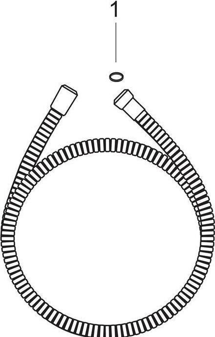 Actual product image hansgrohe Metaflex (160 cm)