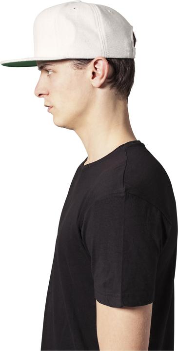 Actual product image Flexfit Snapback (One size)