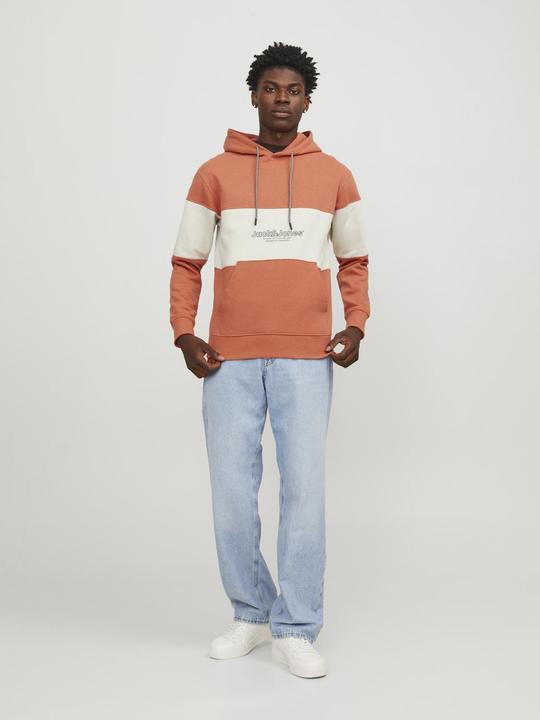 Immagine prodotto Jack & Jones Sweat Hoodie (L)