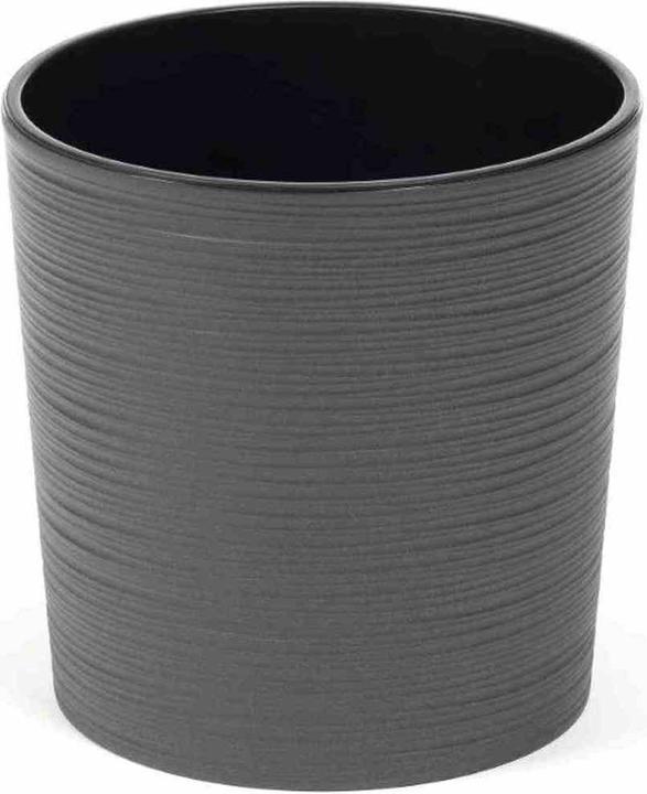 anthracite groove