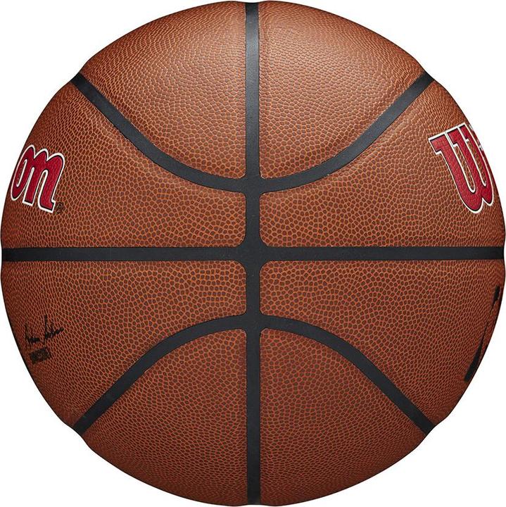 Actual product image Wilson Nba Team Alliance Basketball Goal Raptors (7)