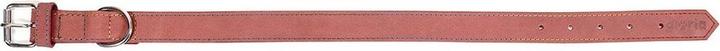 Image du produit Gloria Collier pour chien Oasis Rose 70 cm (70 x 3 cm) (ABS)
