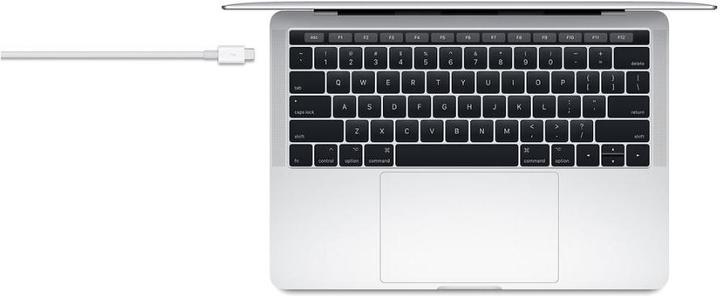 Produktbild Apple Thunderbolt 3 (0.80 m, USB 3.1)