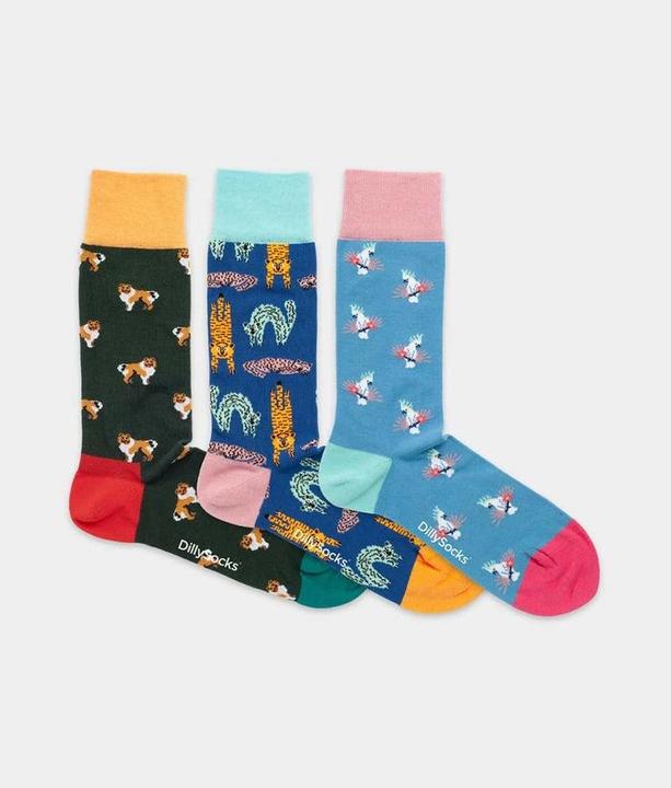 DillySocks Pet Trio