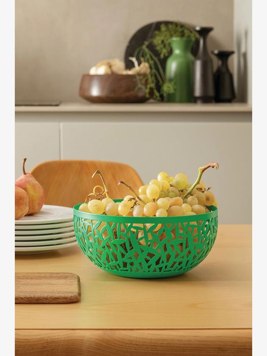 Actual product image Alessi CACTUS fruit bowl