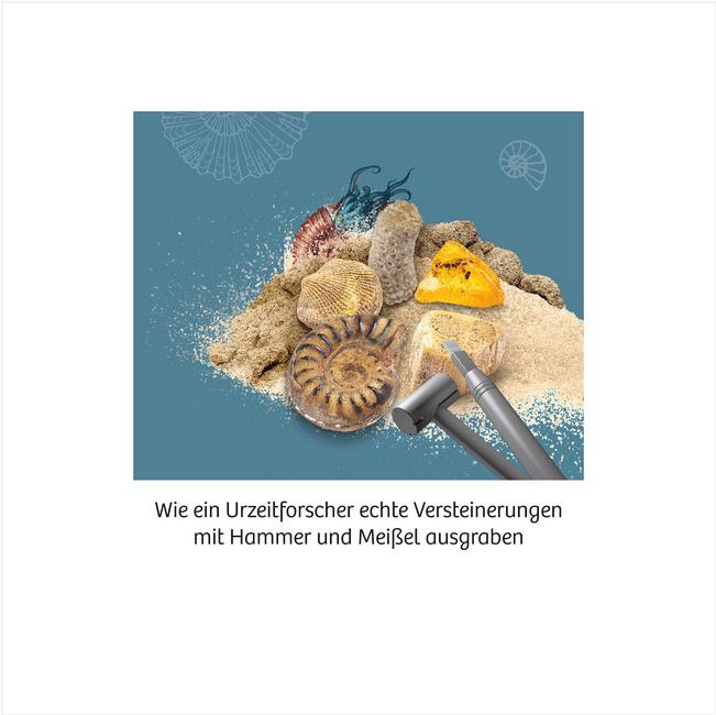 Produktbild Kosmos Fossilien