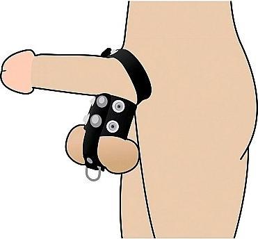 Image du produit XR Brands Courroie de bite et tendeur de boule (5.70 cm)
