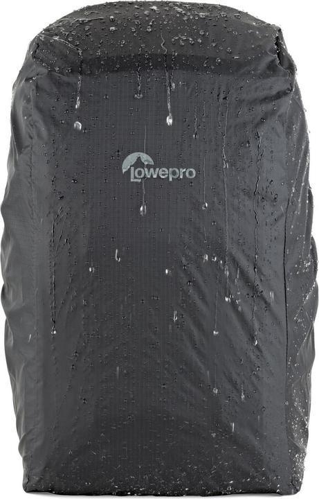 Actual product image Lowepro FreeLine BP 350 AW (Photo backpack)