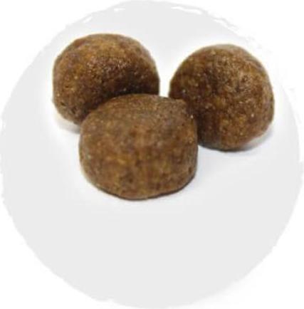 Produktbild Kyli FreshNature Nr. 1 Salmon & Potato Junior (Junior, 12 Stk., 12000 g)
