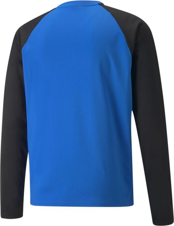 Image du produit Puma teamLIGA Sweat d'entraînement-657238 (M)