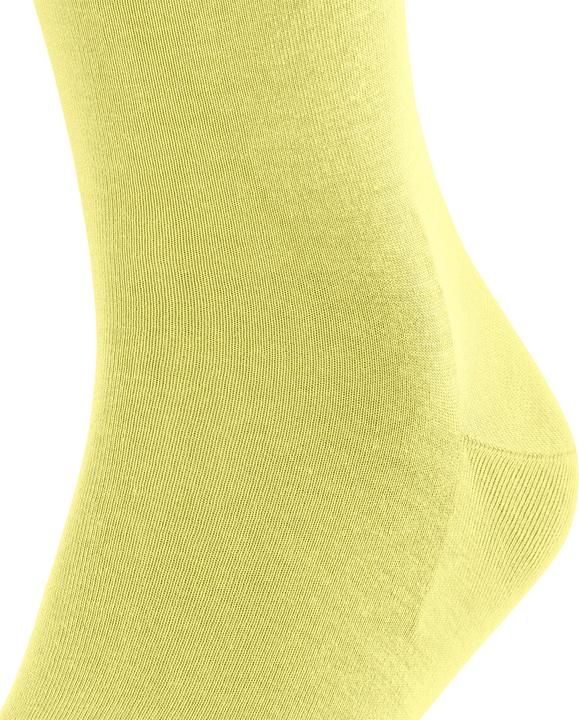 Actual product image Falke ClimaWool Herren (41 - 42)
