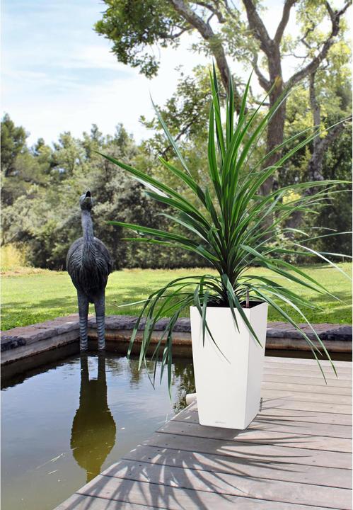 Produktbild Lechuza Cubico Color (39.50 cm)