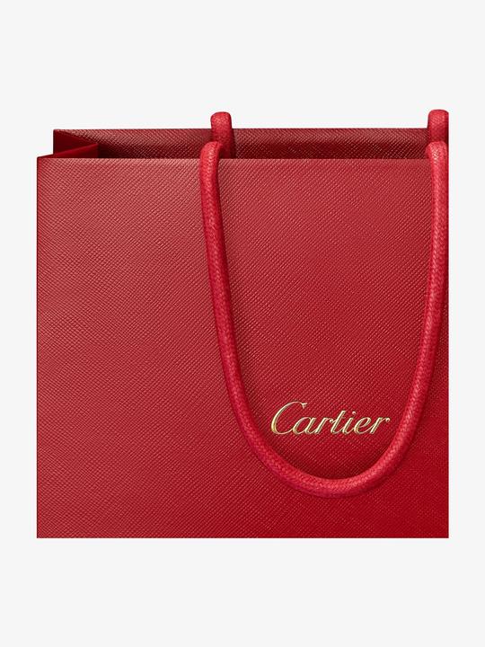 Produktbild Cartier Pasha De Edt Spray (Eau de Toilette, 100 ml)