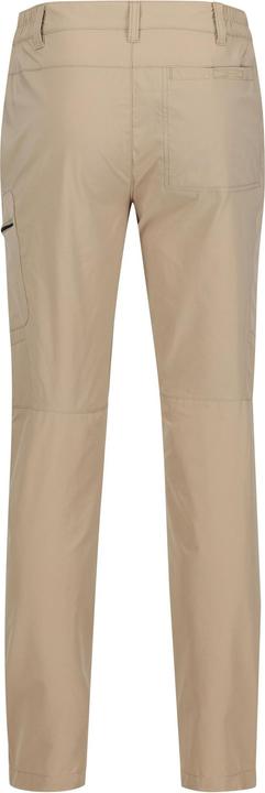 Actual product image Regatta Mens Highton Hiking Trousers (Frequency band 38 (2600 MHz))