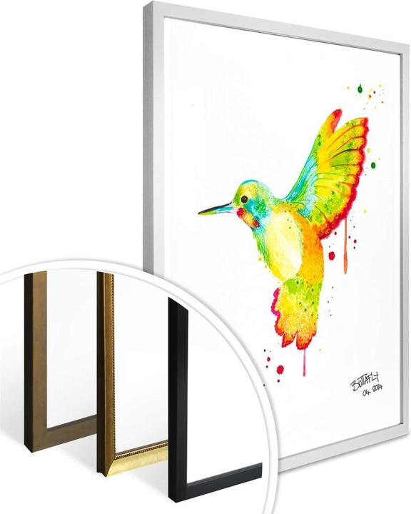 Image du produit Trenddeko Buttafly - Colibri (24 x 30 cm)