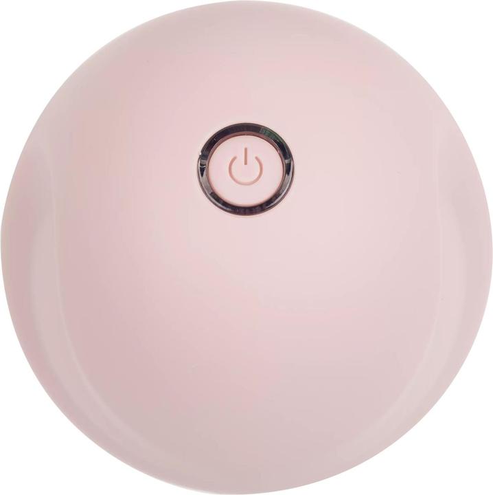 Produktbild Steamery Flusensammler Pilo 1, rosa