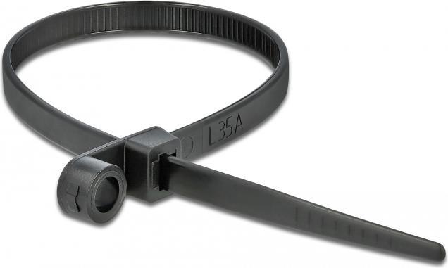 Image du produit Delock Cable tie avec oeillet de fixation (200 mm, 10 pcs)