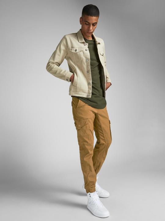 Actual product image Jack & Jones PAUL FLAKE AKM 542 Cargo Trousers (W33/L34)