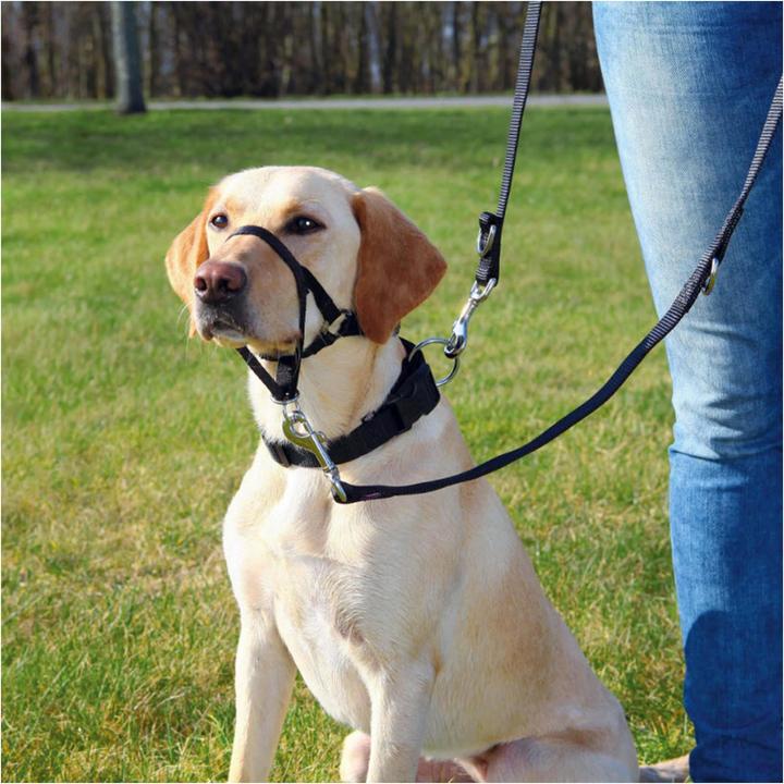 Actual product image Trixie TopTrainer Training Harness XL (XL, Dog, General)