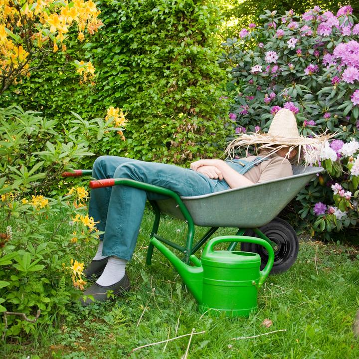 Image du produit Relaxdays Roue de brouette
