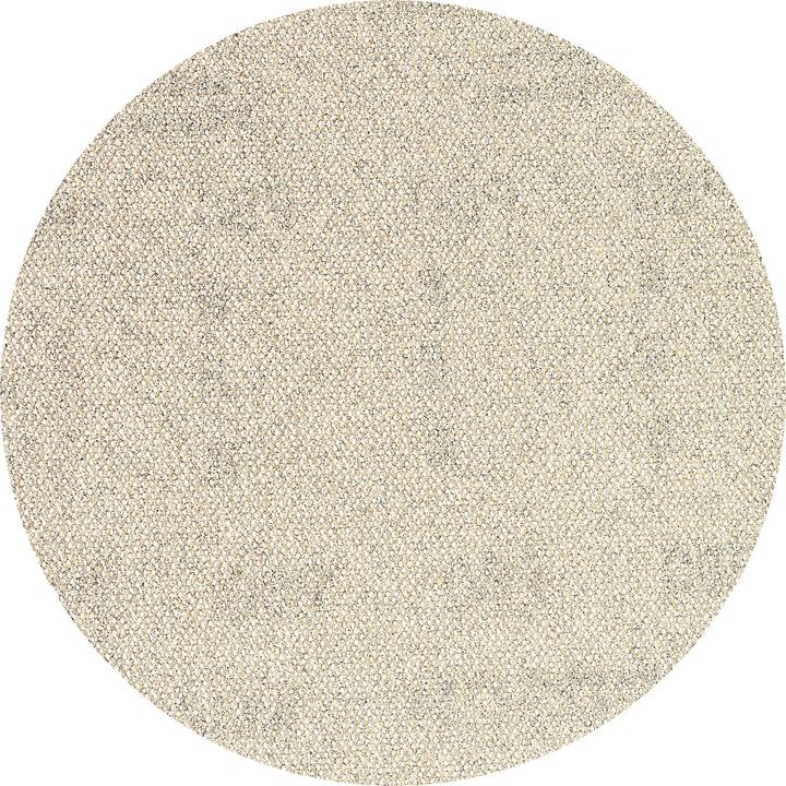 Bosch Professional Zubehör M480 abrasive mesh (80)