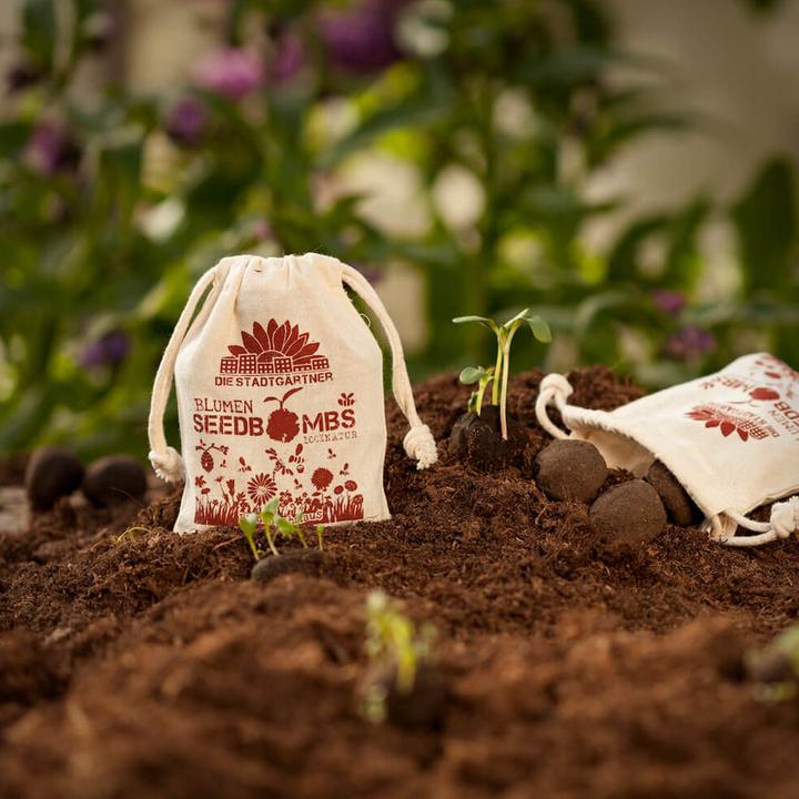 Actual product image Die Stadtgärtner Seed bombs bee feast (Flower seeds)