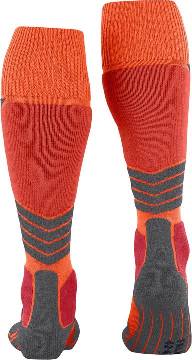 Actual product image Falke Kniestrümpfe SK1 (42 - 43)