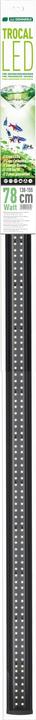 Juwel Aquarium Trocal LED (LED, 78 W)