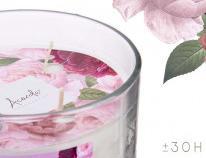 Produktbild Acorde Kerzenglas mit goldenem Deckel rosa Rose gepudert