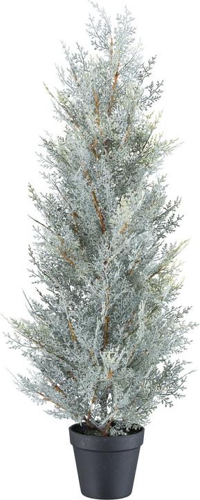 Actual product image Gasper Conifer tree, grey H: 79 cm (79 cm)