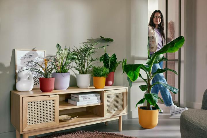 Produktbild Elho Jazz Rund (18.90 cm)