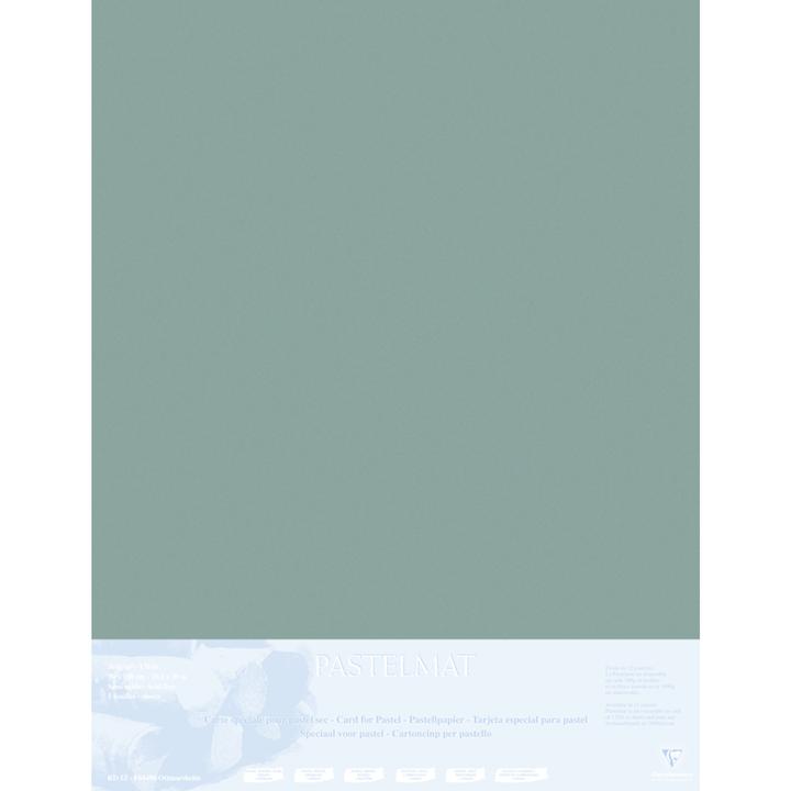 Image du produit Clairefontaine Contrecollé PASTELMAT 70x100 5F MAIS (5 x)