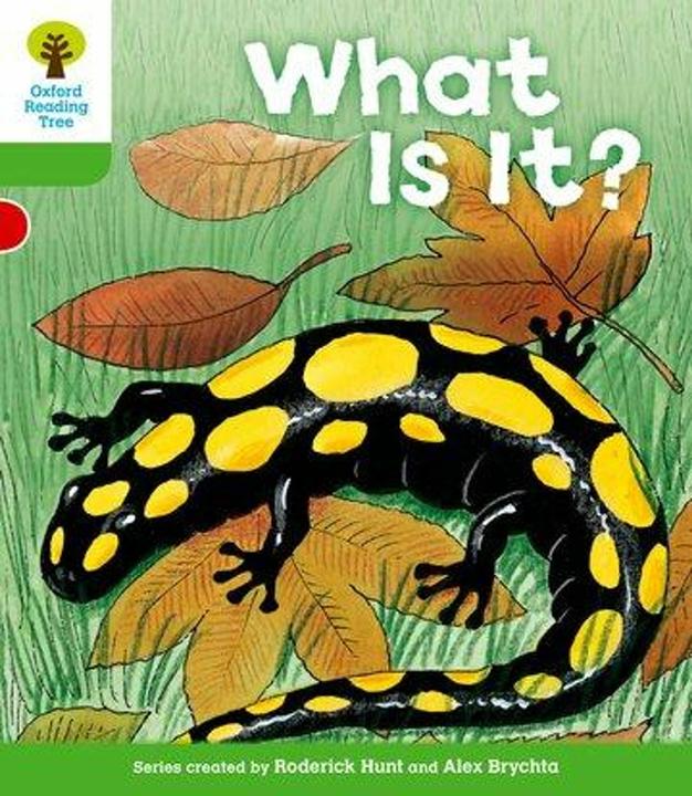 Actual product image Oxford Reading Tree: Level 2: More Patterned Stories A: What is it? (English, Roderick Hunt, Alex Brychta, 2011)
