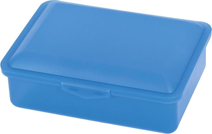 Actual product image Buchsteiner Lunch box click box 19x13,5x6cm assorted colors