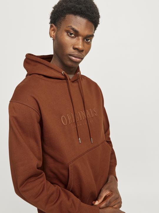 Actual product image Jack & Jones Jorfrederiksberg Sweat Hood Sn (S)